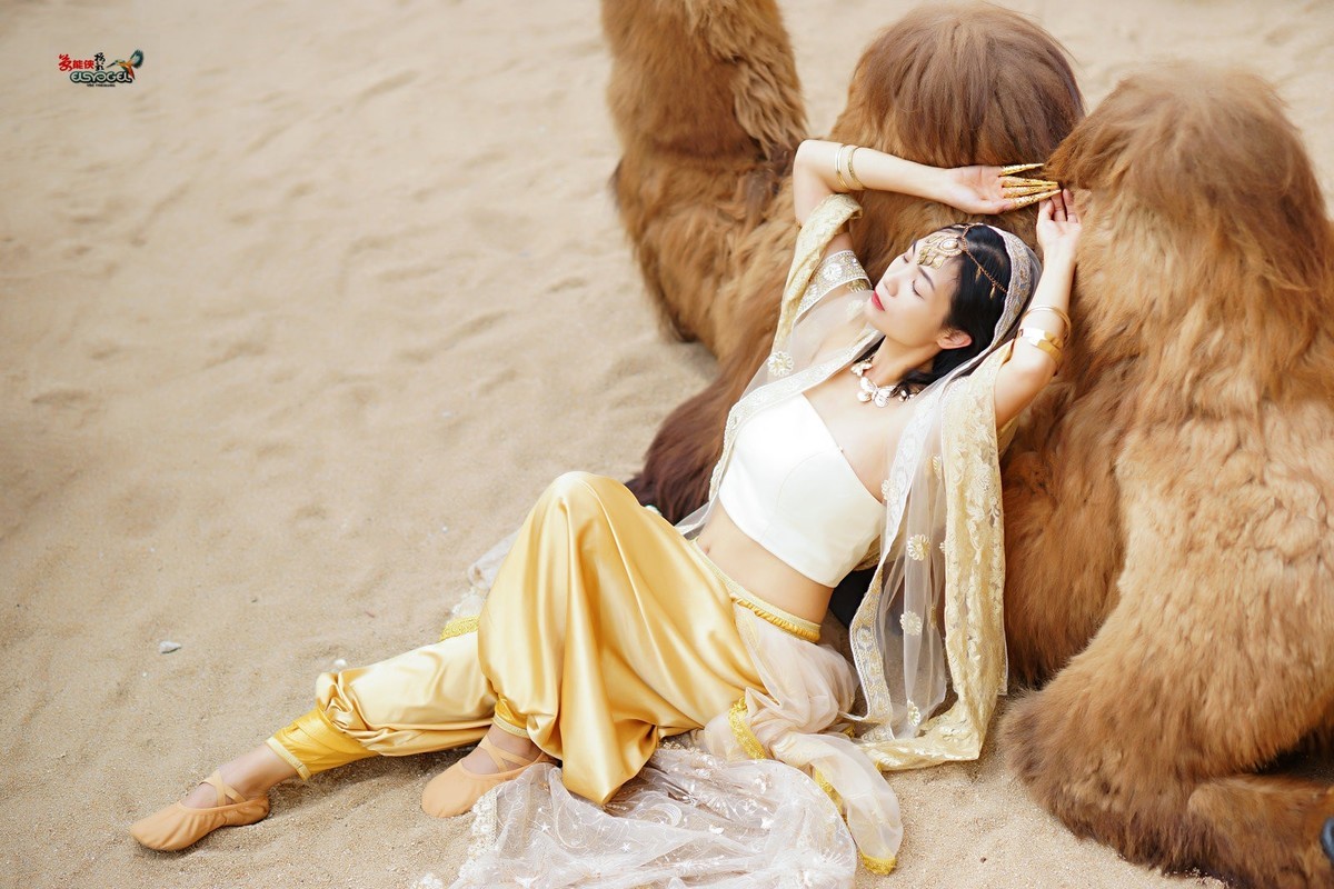 【沙漠香槟女神】---小杨