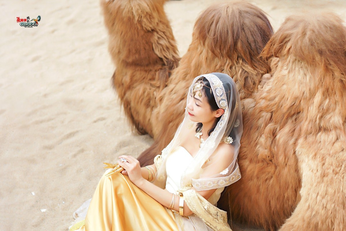 【沙漠香槟女神】---小杨