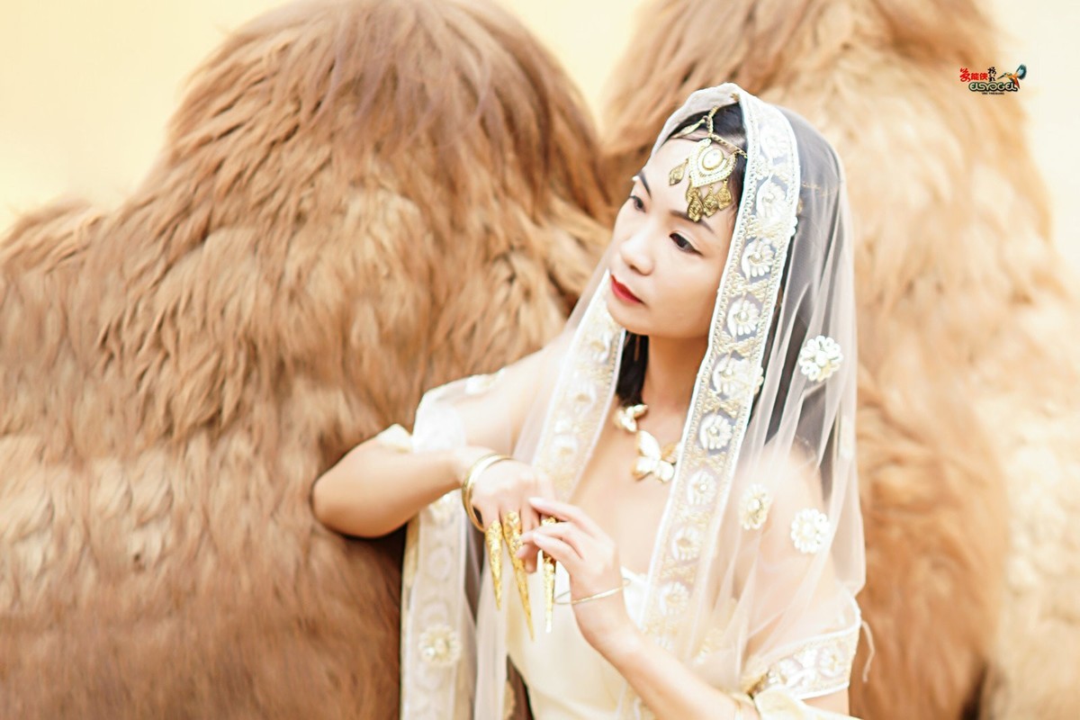 【沙漠香槟女神】---小杨