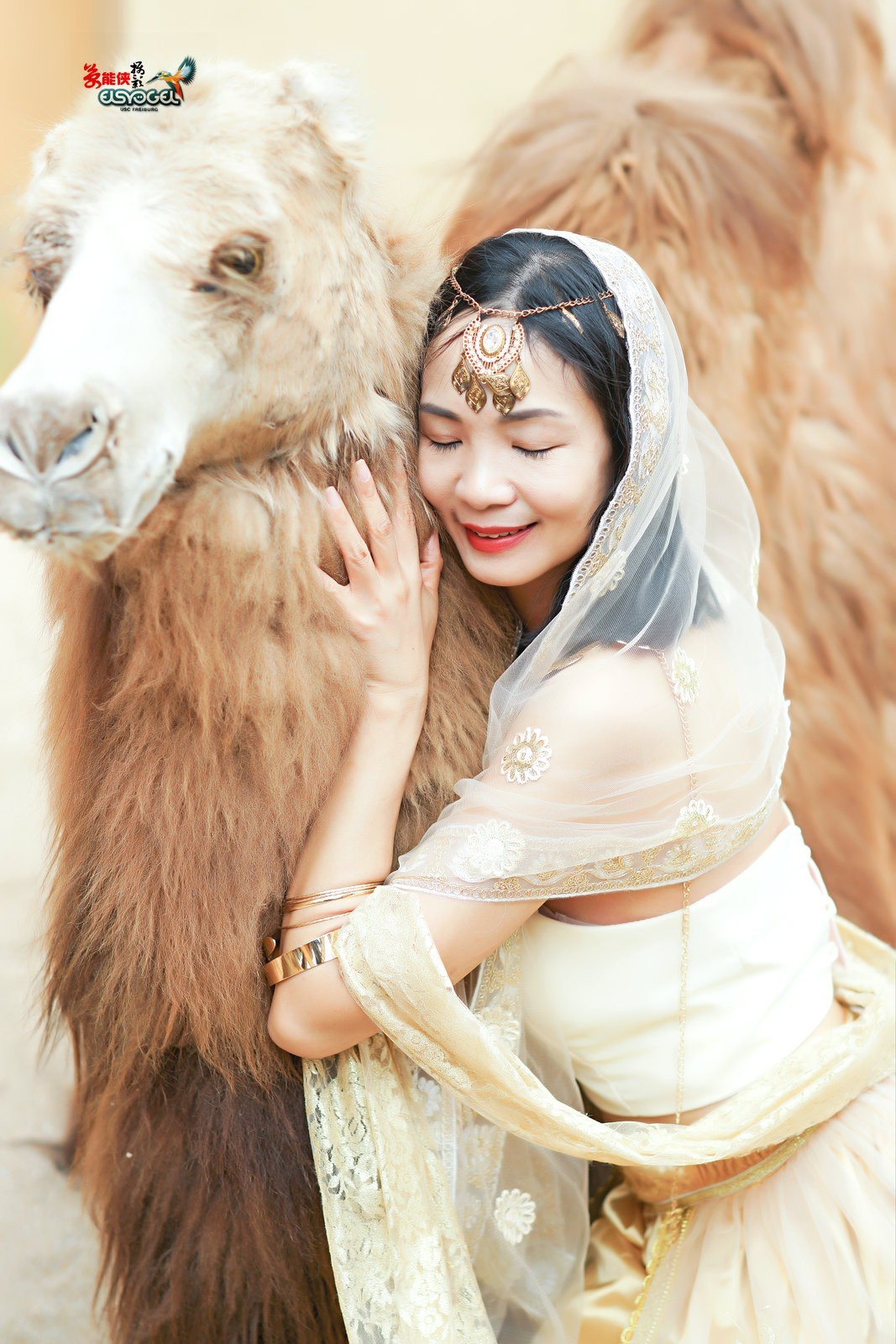 【沙漠香槟女神】---小杨