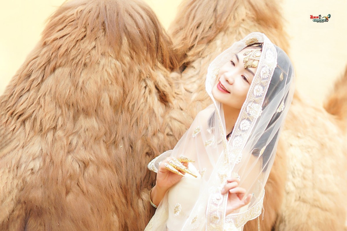 【沙漠香槟女神】---小杨