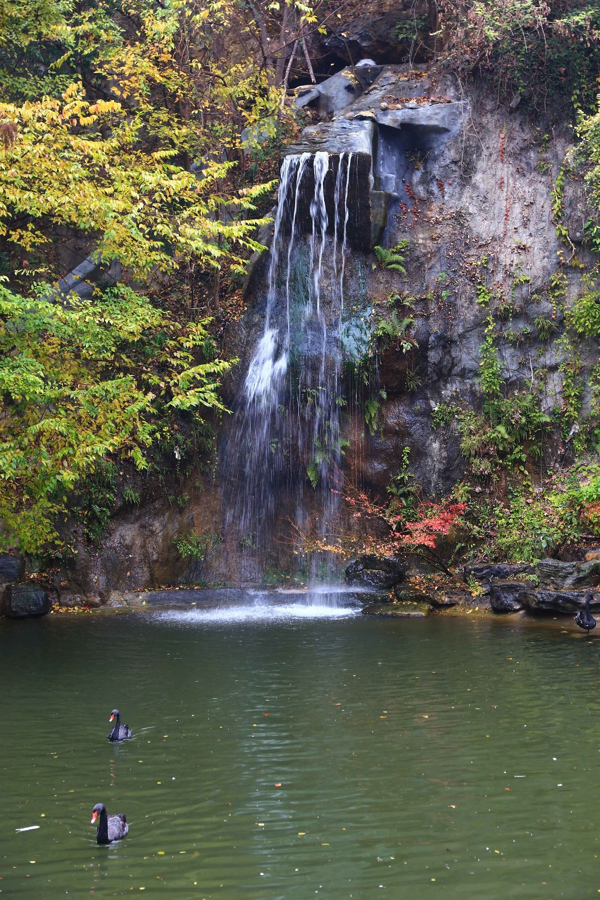 阴雨天的栖霞山之九小瀑布