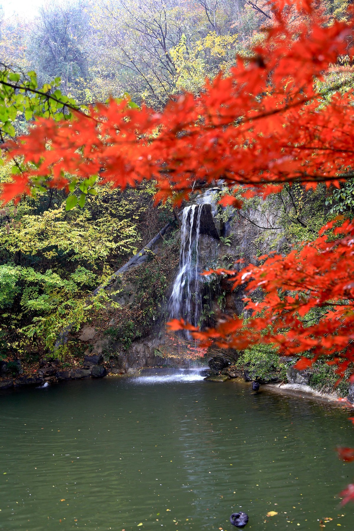 阴雨天的栖霞山之九小瀑布