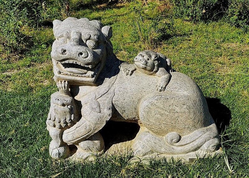 《不老松：纪实摄影》大美沧州系列報道：〔9〕百狮园！石狮雄姿各异，历久沧桑！