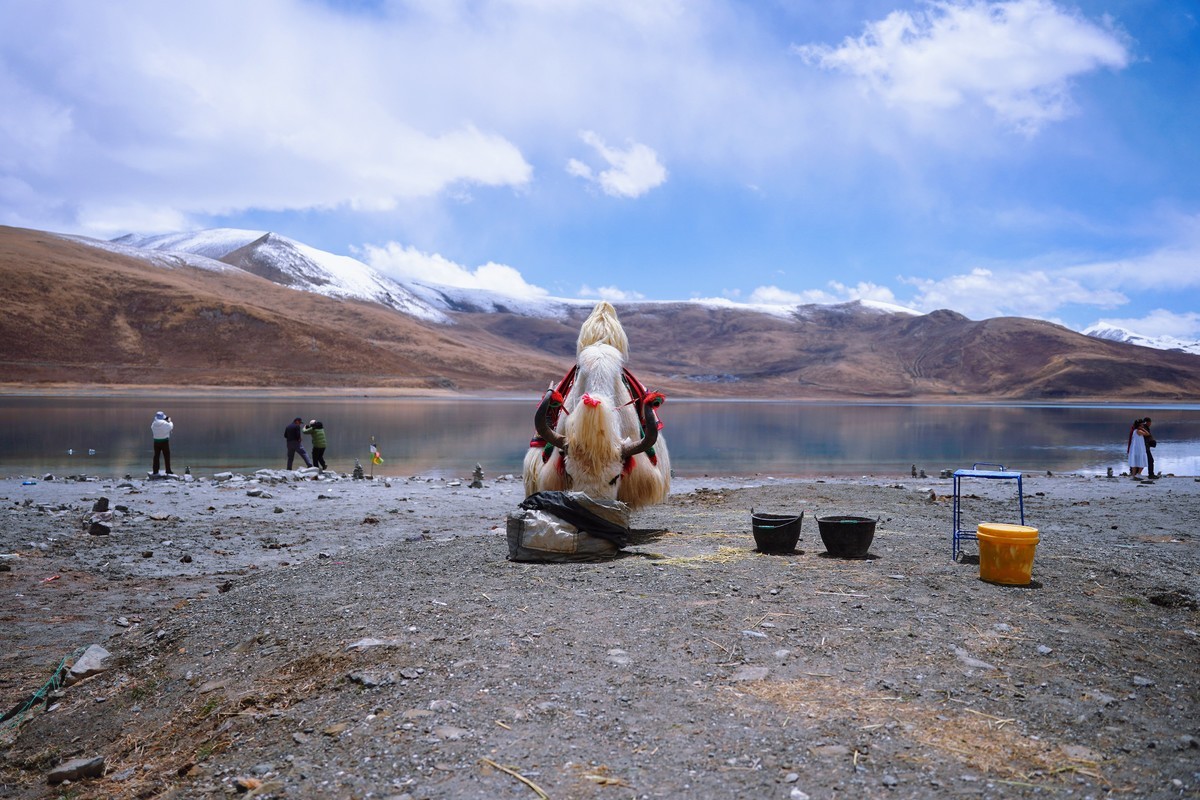 羊湖（圣湖羊卓雍错）