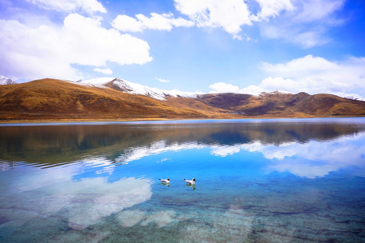 羊湖（圣湖羊卓雍错）