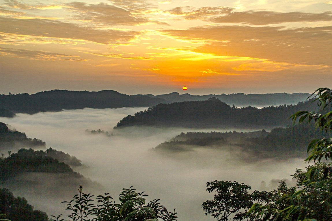 四川威远骑龙坳---晨雾【7】