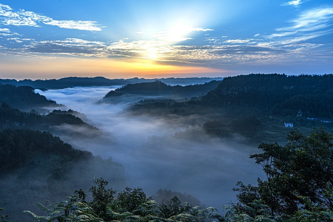 四川威远骑龙坳---晨雾【7】