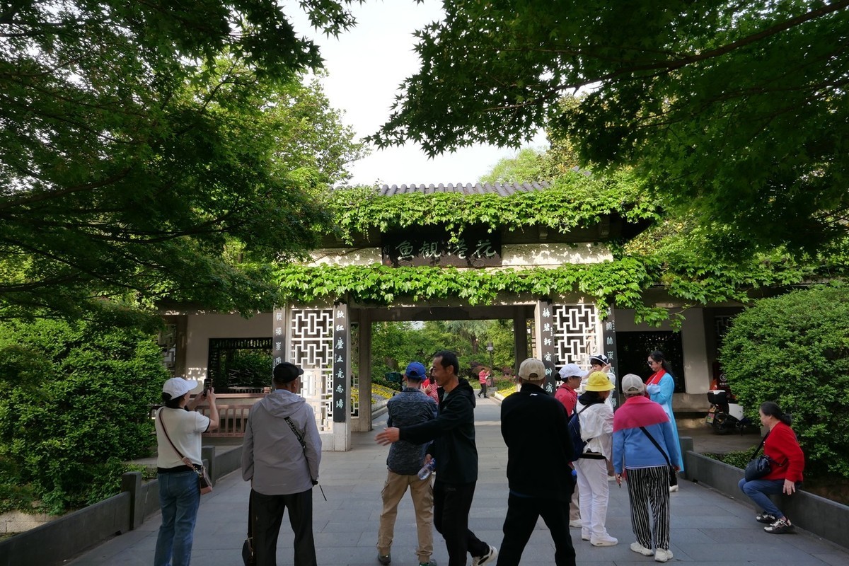 杭州—西湖—花港观鱼(2)