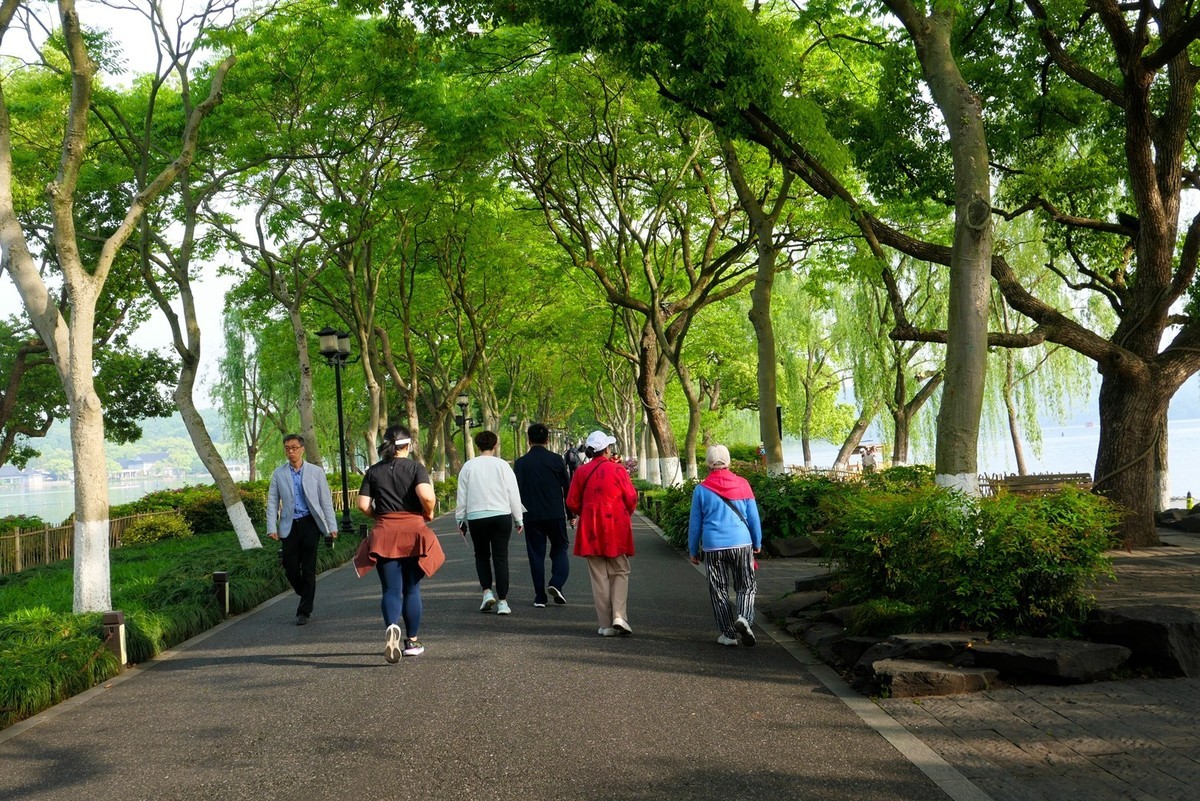 杭州—西湖—花港观鱼(2)