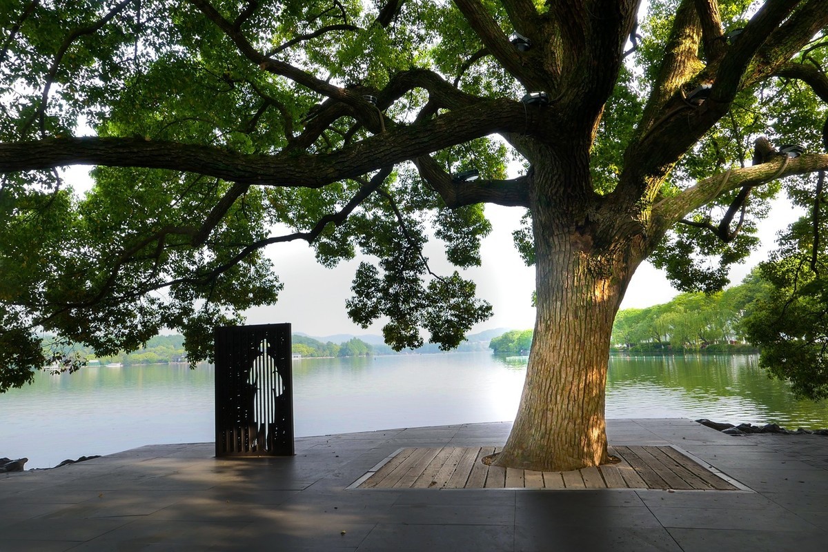 杭州—西湖—花港观鱼(2)
