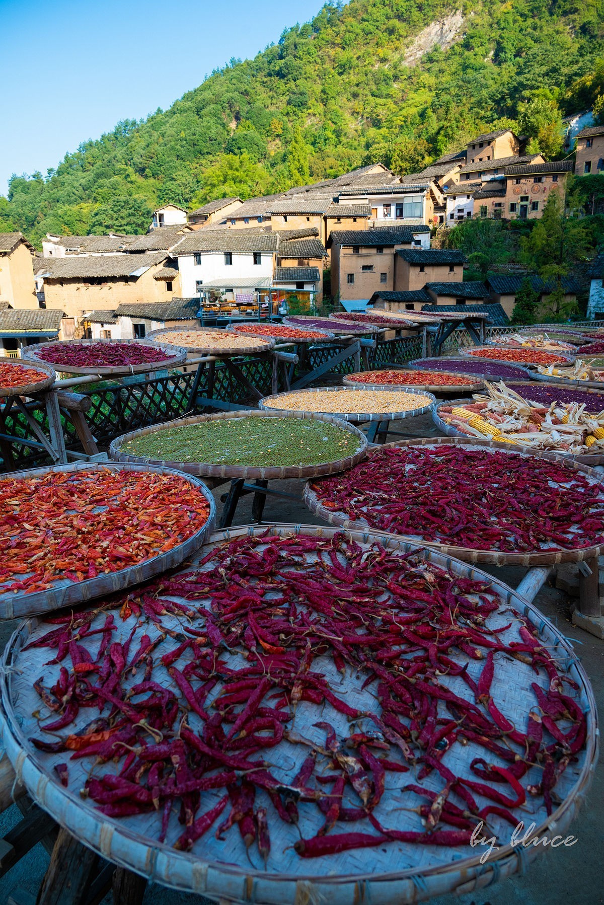 【徽州行】阳产土楼