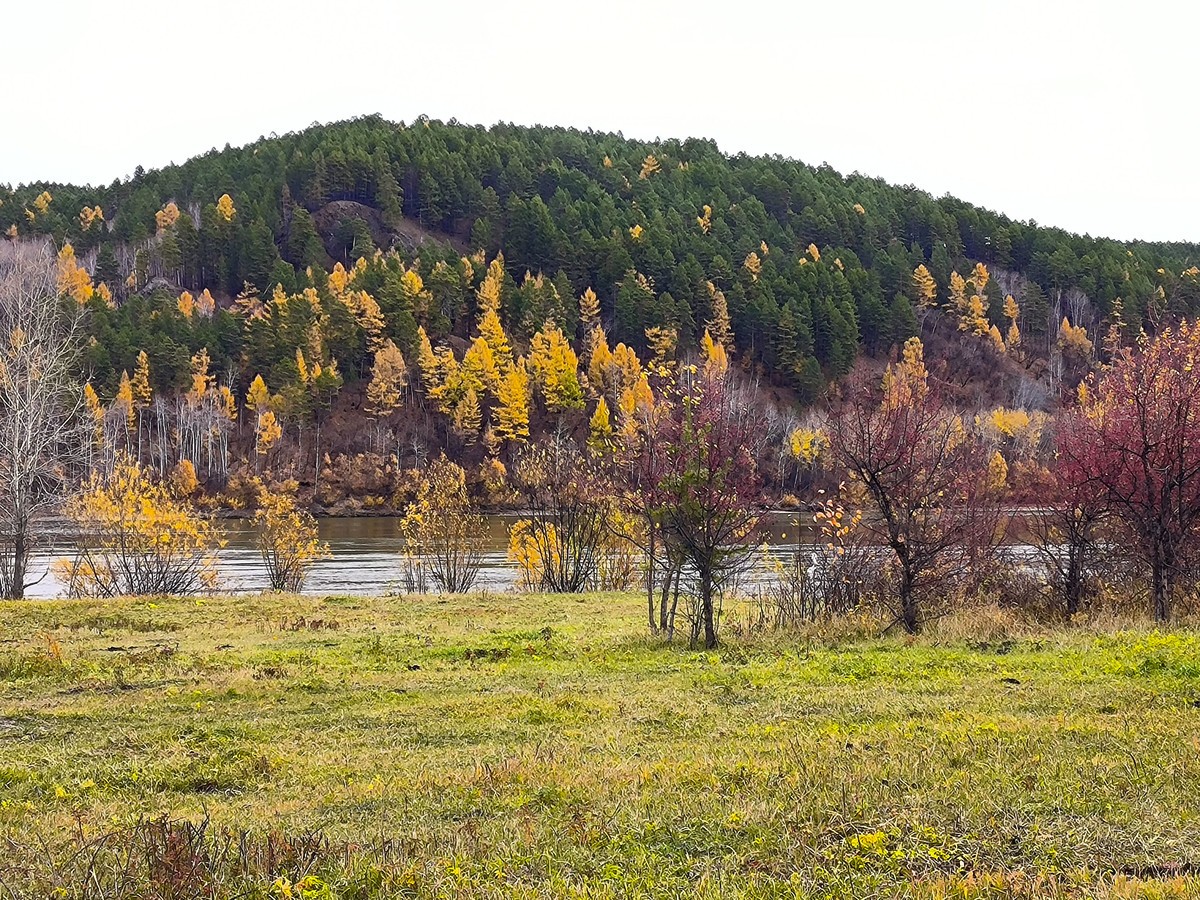 北极村秋色手机随拍(三)