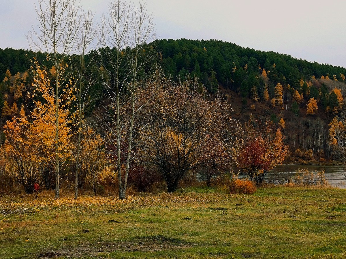 北极村秋色手机随拍(三)
