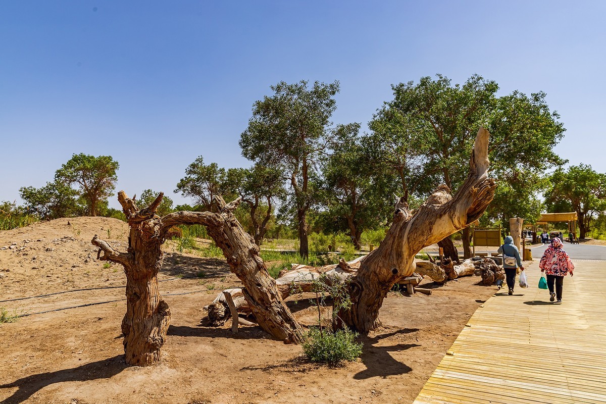 旅游记录 ：新疆 · 巴音郭楞 · 尉犁 · 罗布人村寨