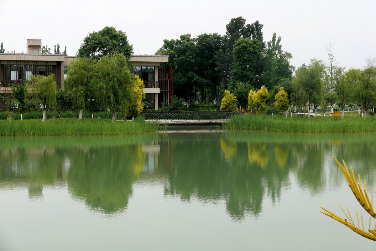 中午又來看看心念唸的東湖公園景色又不一樣啦