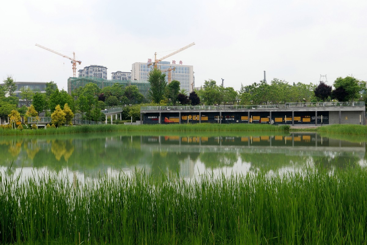 中午又来看看心念念的东湖公园！景色又不一样啦！