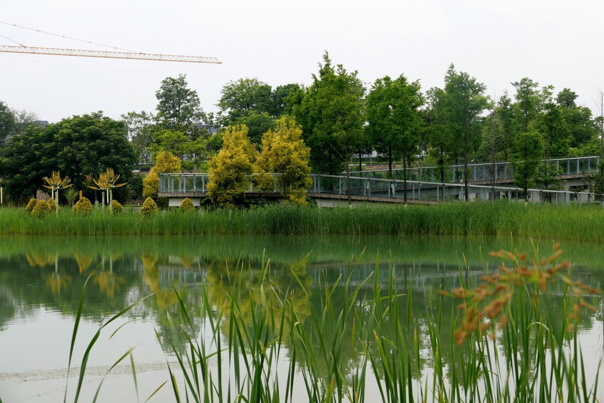 中午又來看看心念唸的東湖公園景色又不一樣啦