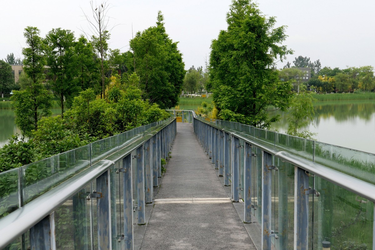 中午又来看看心念念的东湖公园！景色又不一样啦！