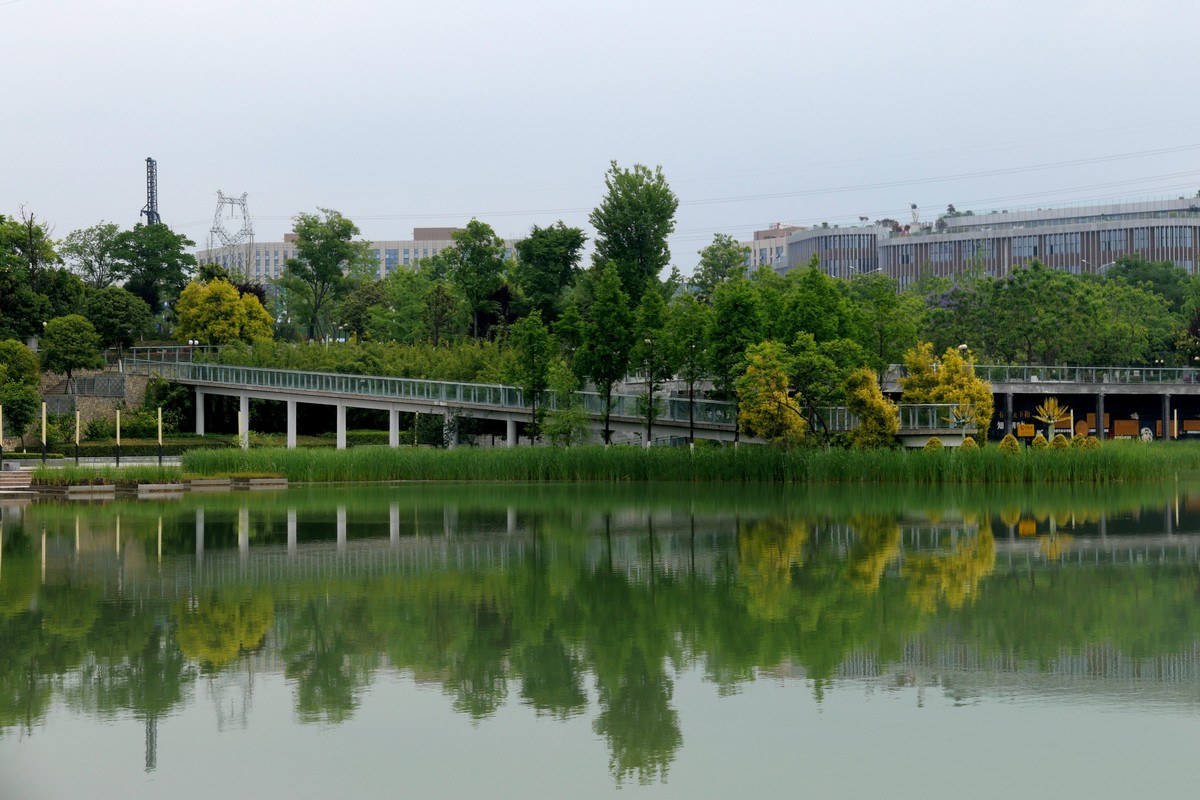 中午又来看看心念念的东湖公园！景色又不一样啦！