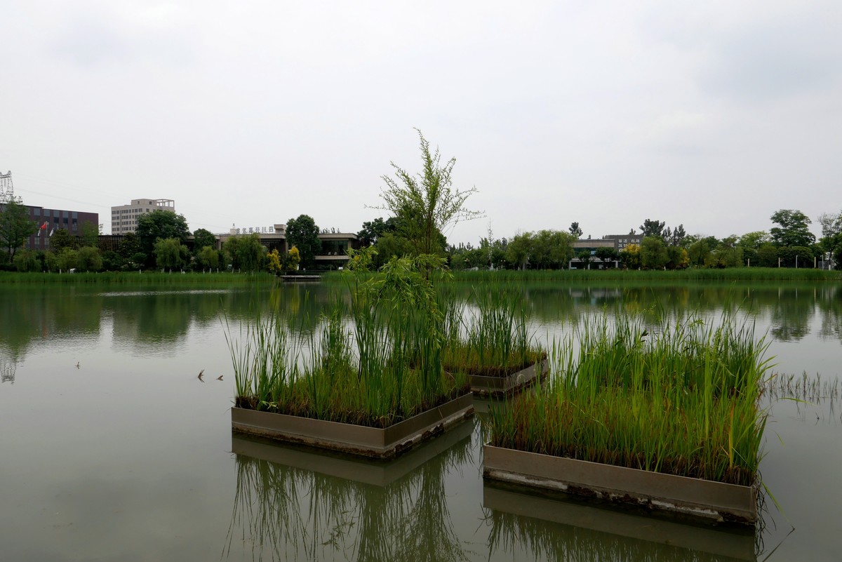 中午又来看看心念念的东湖公园！景色又不一样啦！