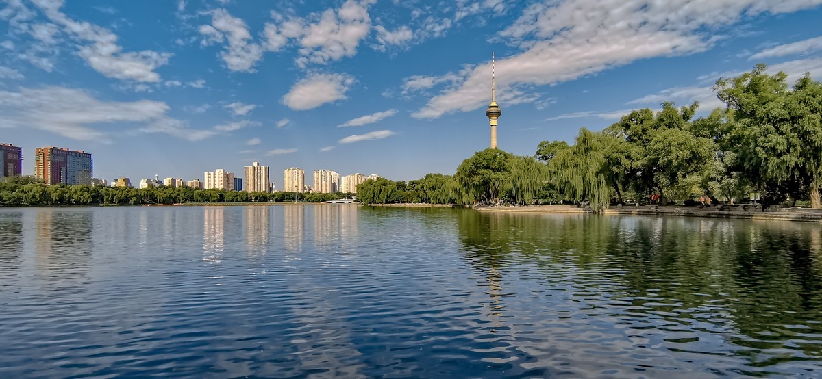 手机随拍20220723《117》