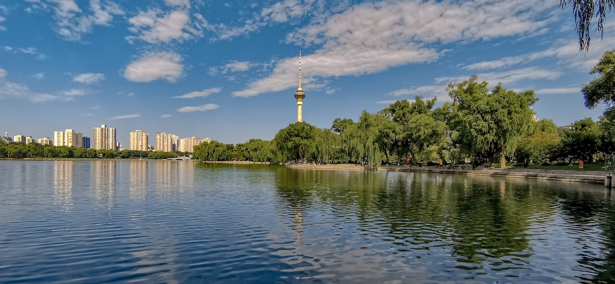 手机随拍20220723《117》