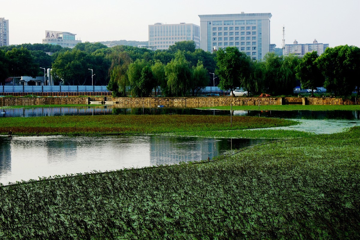 武汉映像---武汉体育学院风光！