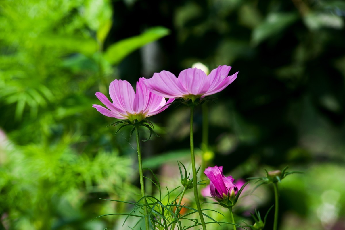 试拍下新换的相机