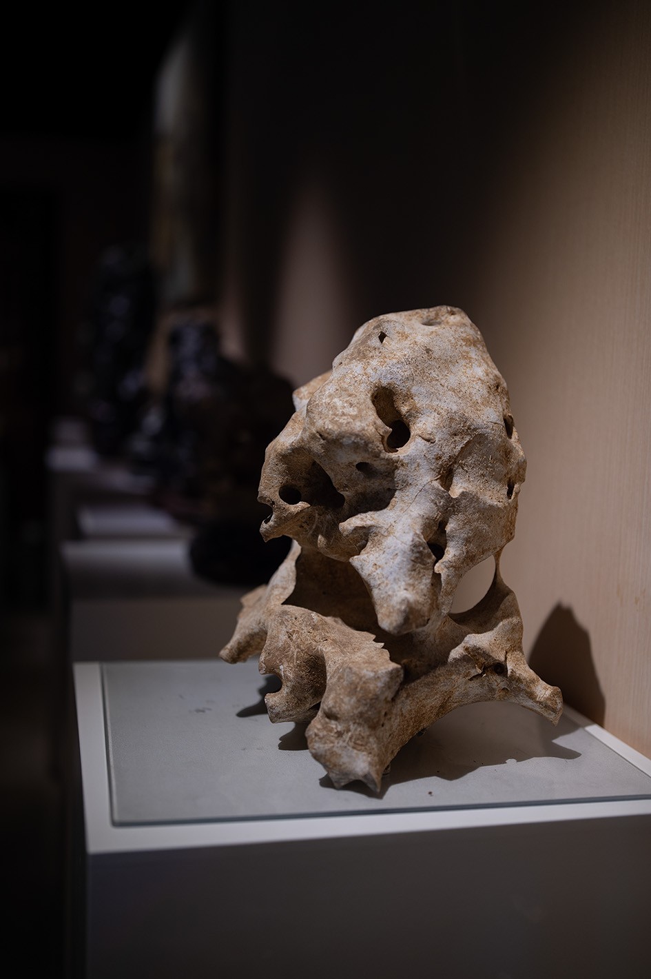 【雅赏续集】石语 造景 空间