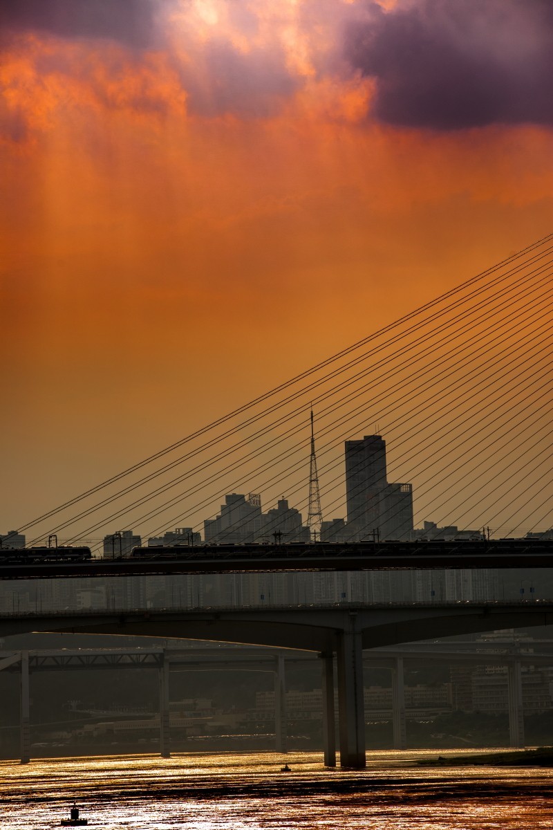 长滨路随拍 （续）。