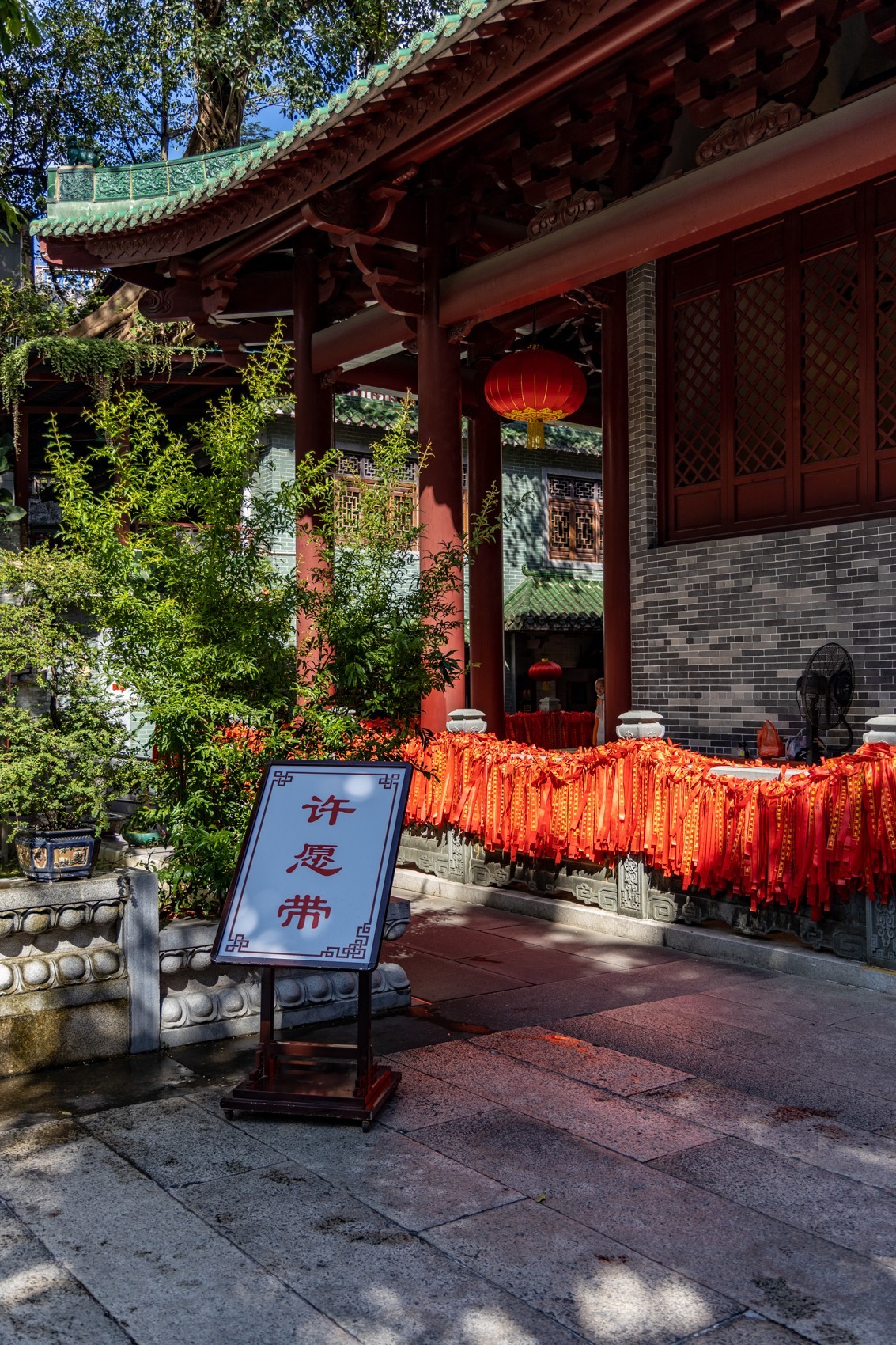 【高清图】海幢寺与莲（六）-中关村在线摄影论坛