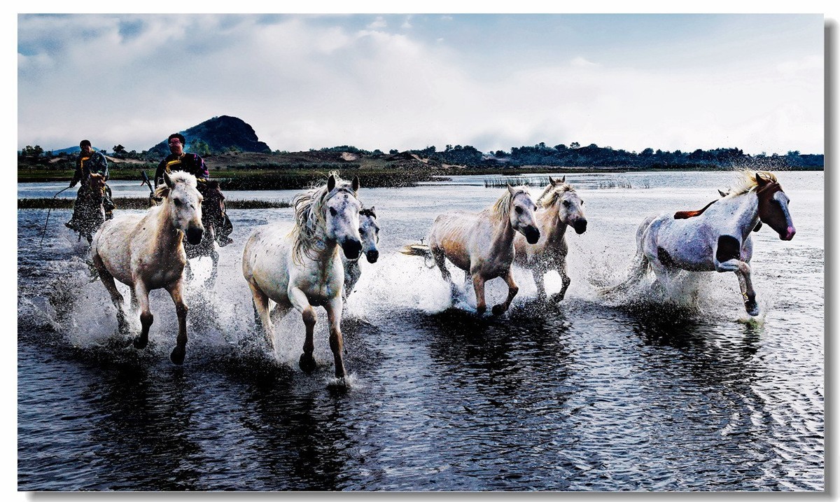 尼康Z8坝上草原试机