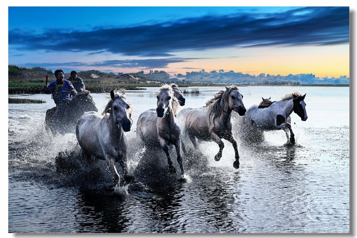 尼康Z8坝上草原试机