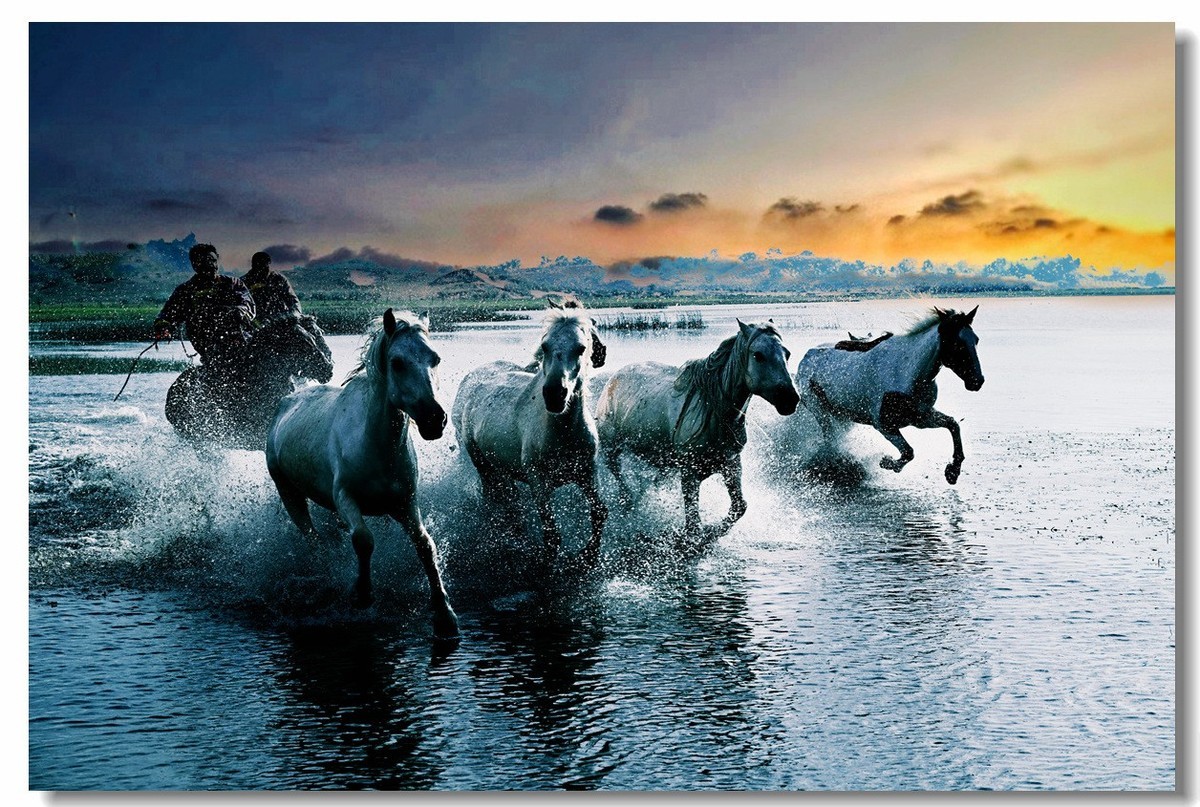 尼康Z8坝上草原试机