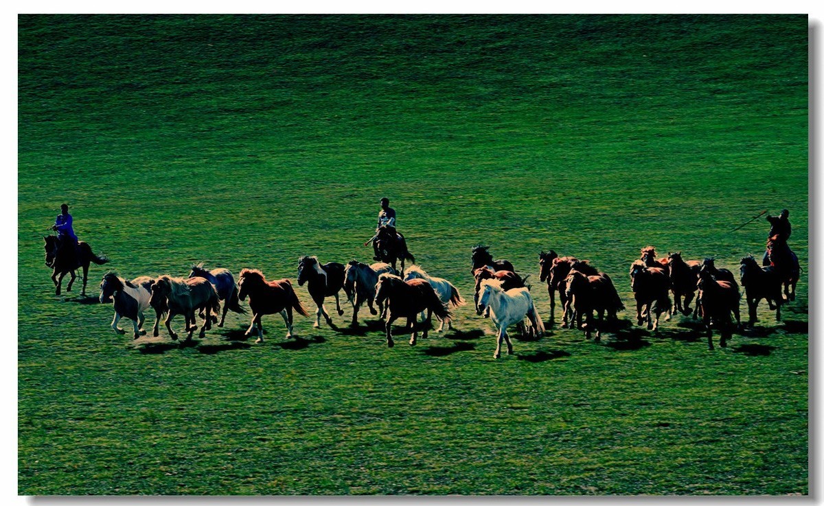 尼康Z8坝上草原试机