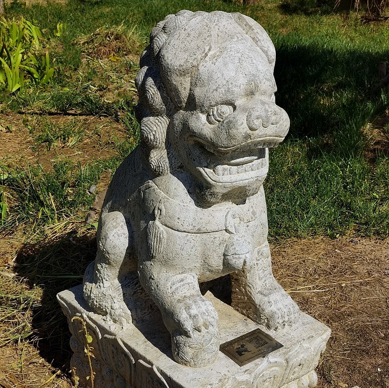 《不老松：纪实摄影》大美沧州系列報道：〔12〕百狮园！石狮雄姿各异，历久沧桑！