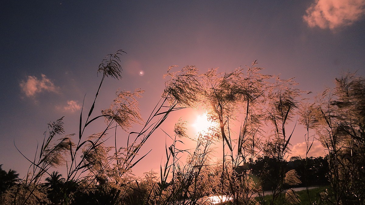 海南印象-----西海岸