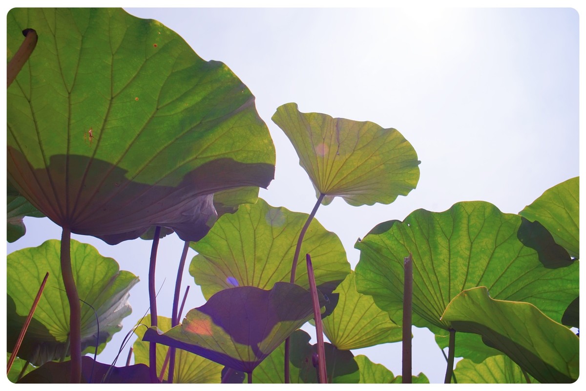 尝试不一样的角度