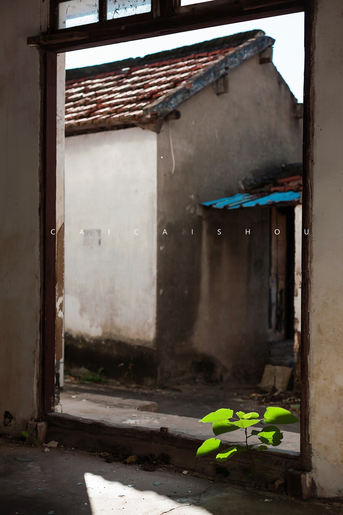 【菜々手摄影】废墟~消失的金家庄