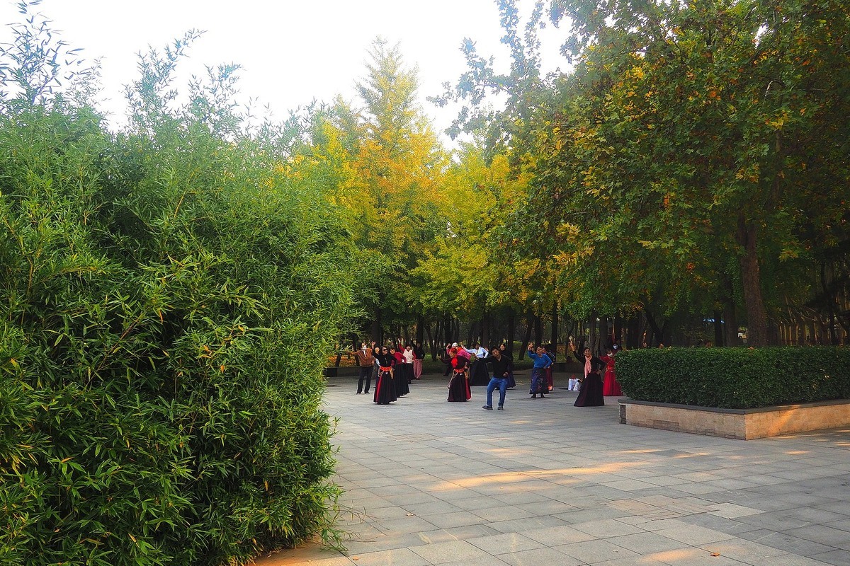 秋日·裕西公园