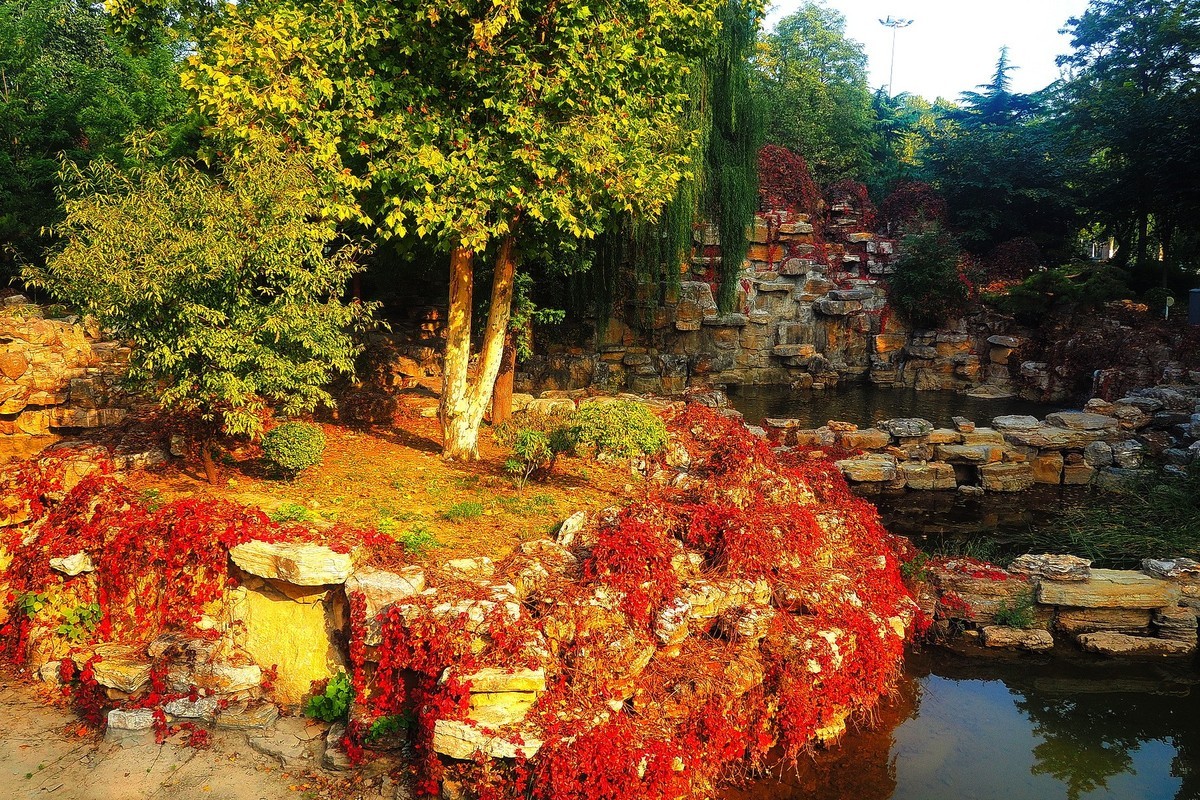 秋日·裕西公园