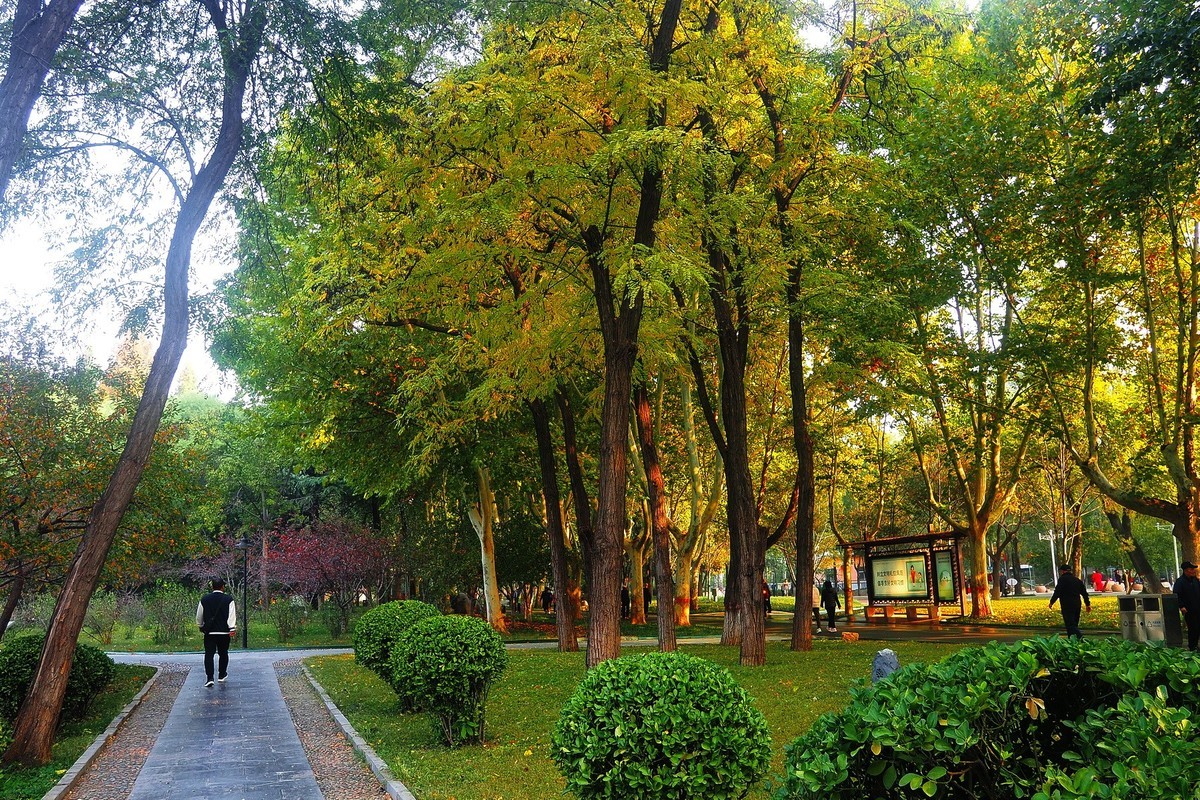 秋日·裕西公园