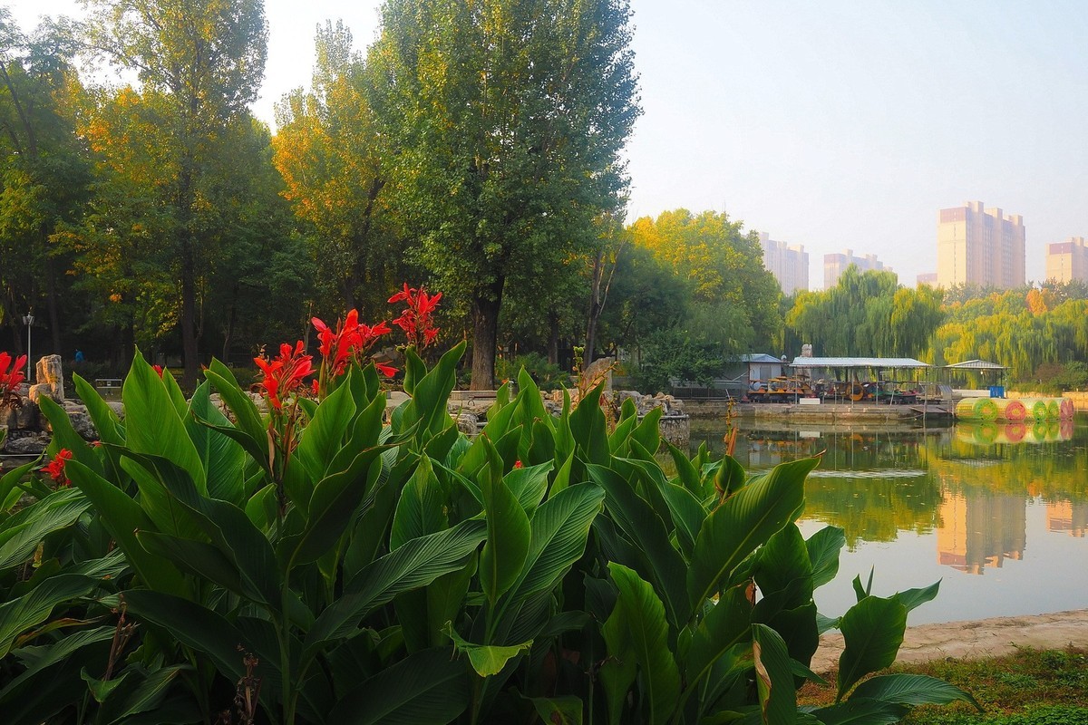 秋日·裕西公园