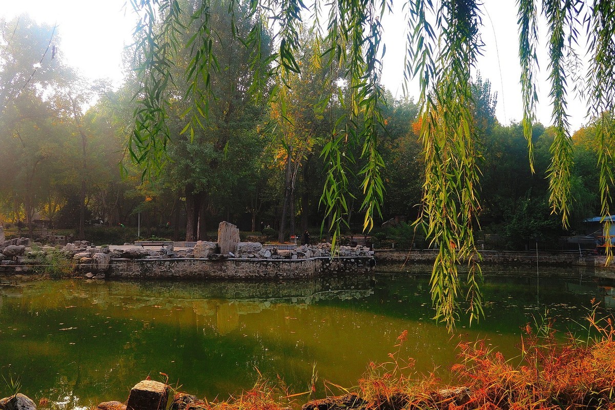 秋日·裕西公园