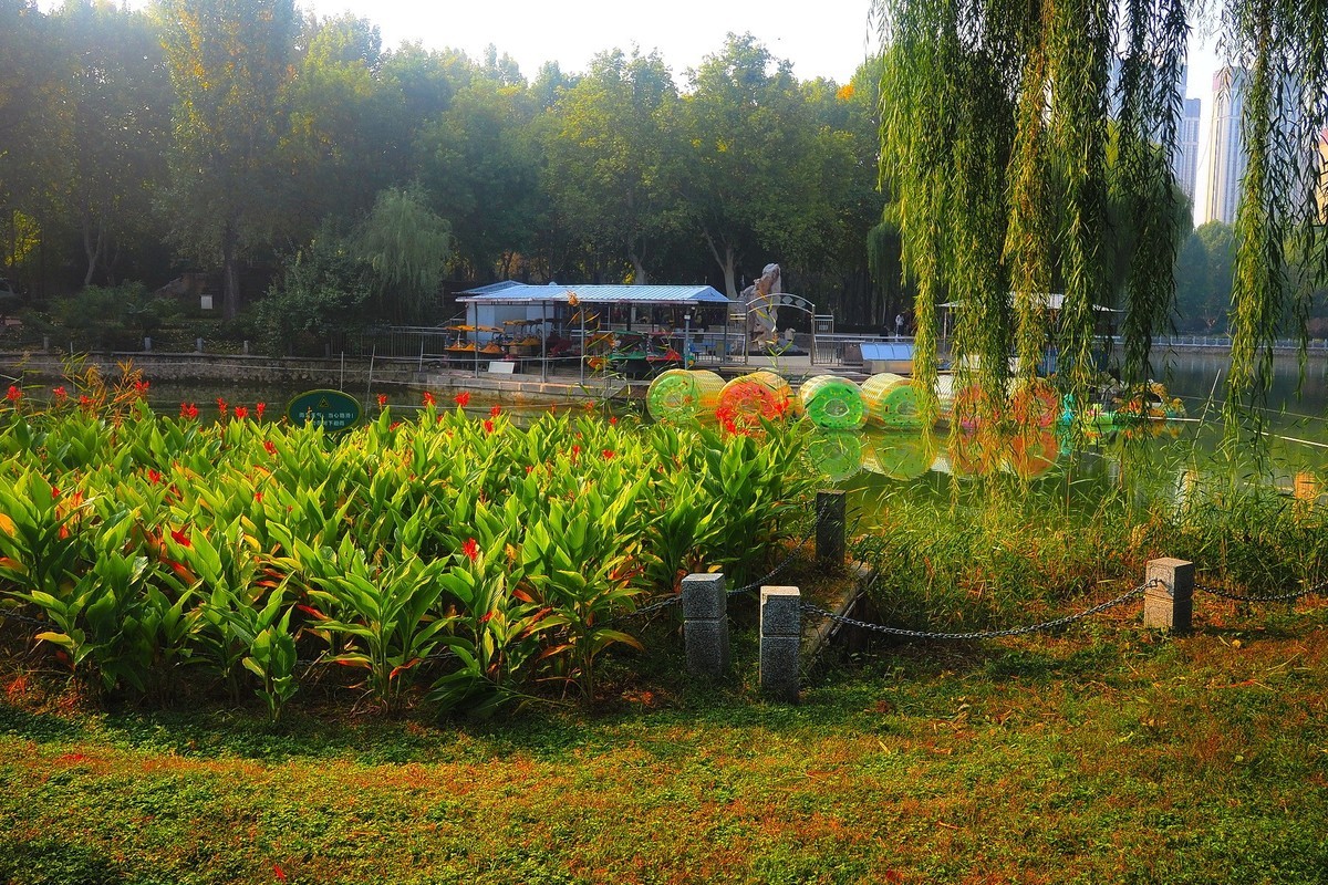 秋日·裕西公园