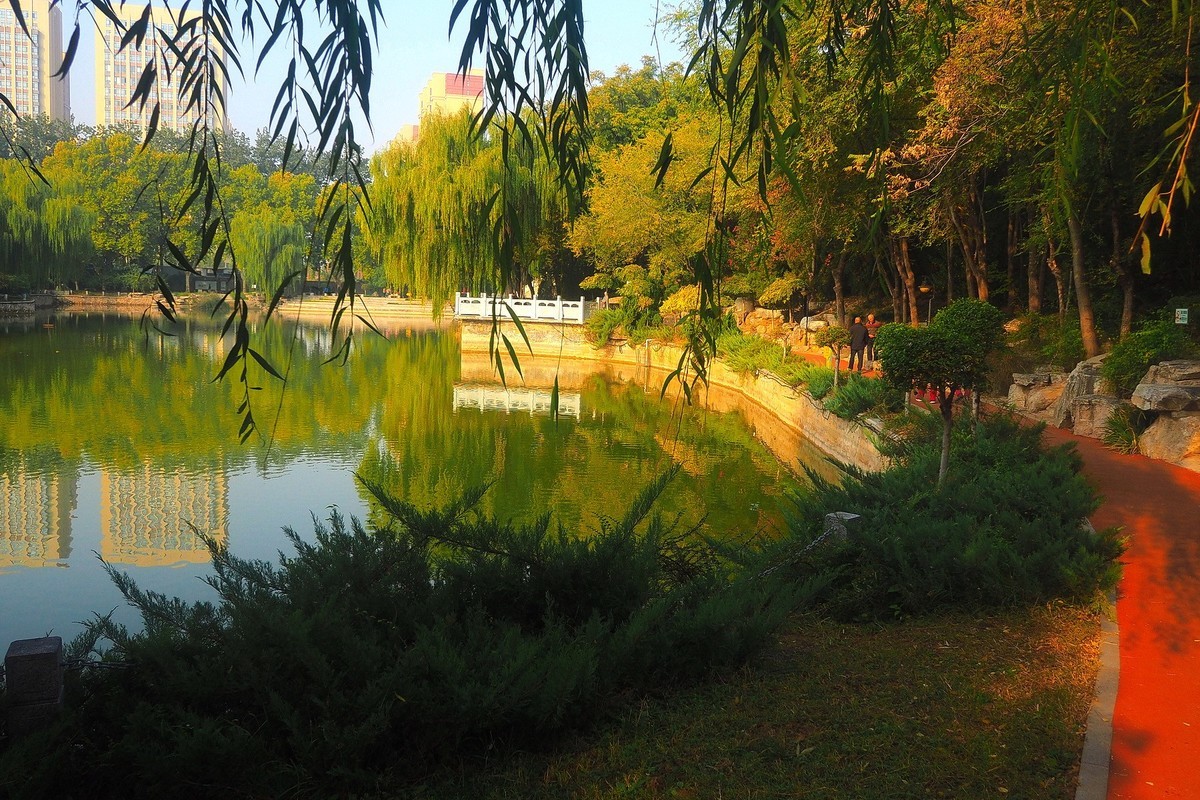 秋日·裕西公园