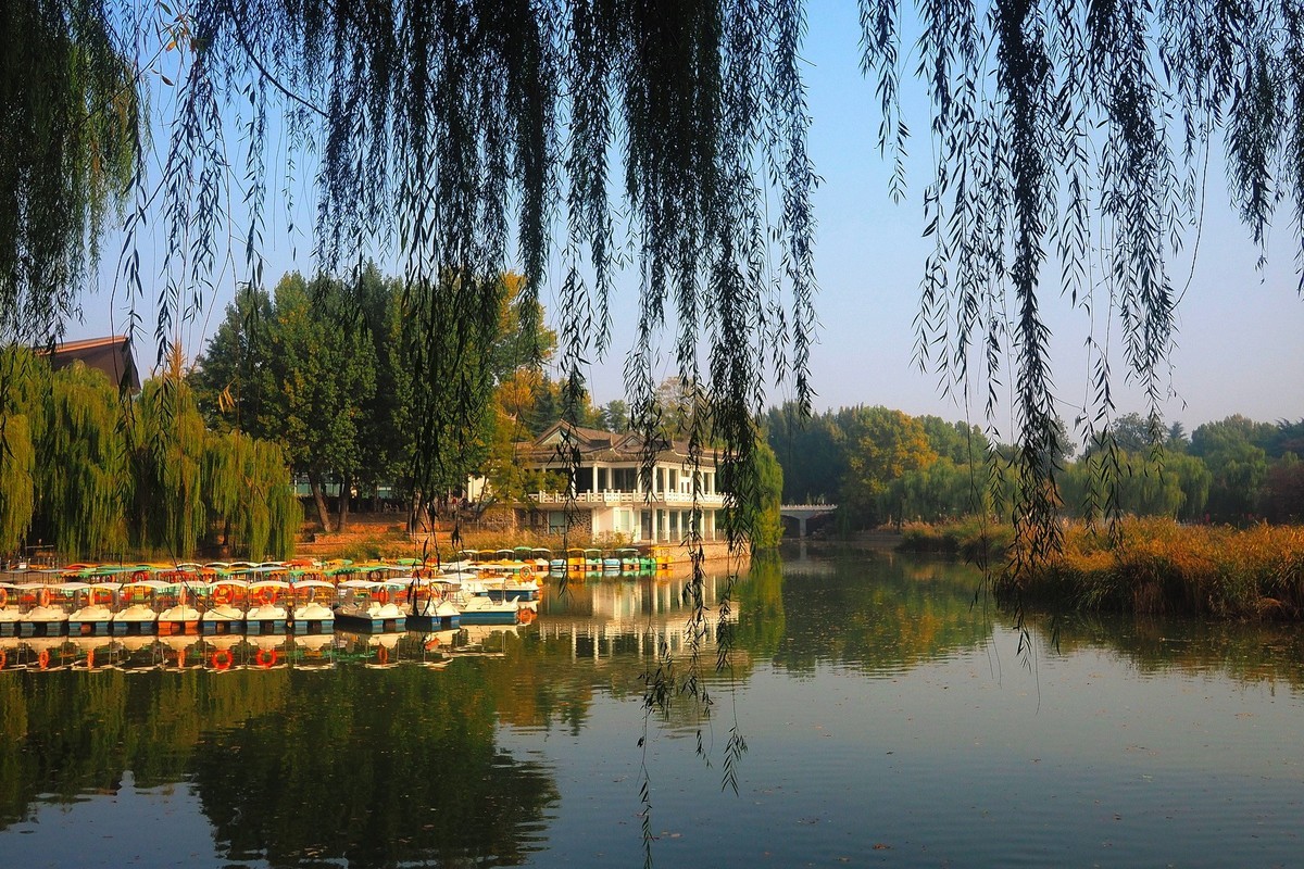 秋日·裕西公园