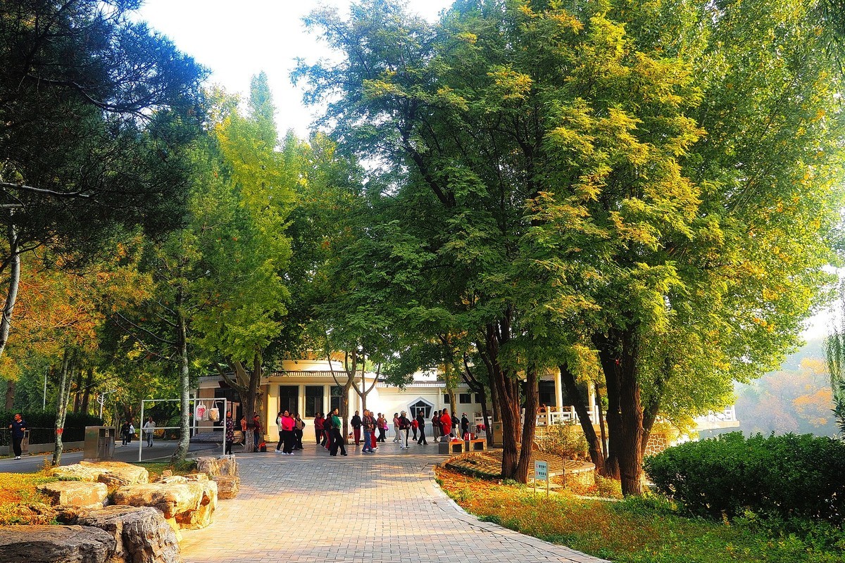 秋日·裕西公园