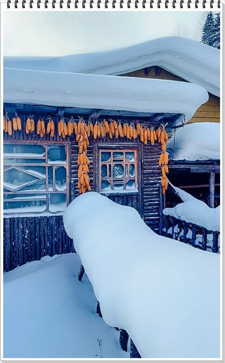 2025年- 中国雪乡纪实抓拍-0160